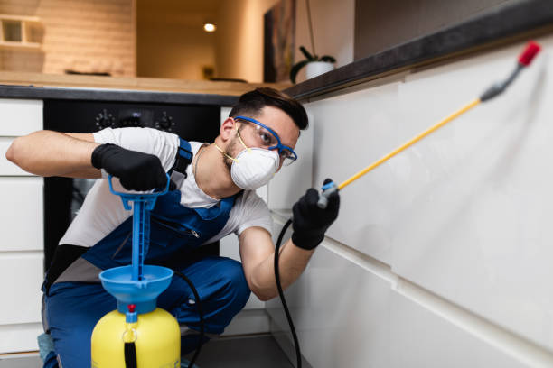 Best Pest Removal Services  in North Hartsville, SC
