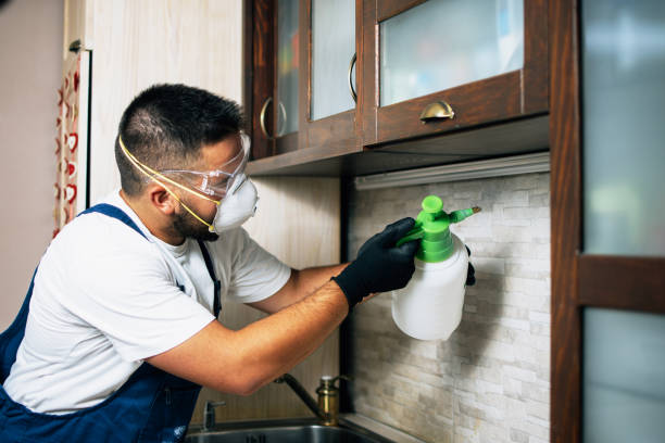 Best Affordable Pest Control Services  in North Hartsville, SC