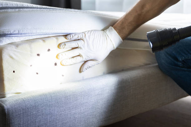  North Hartsville, SC Pest Control Pros