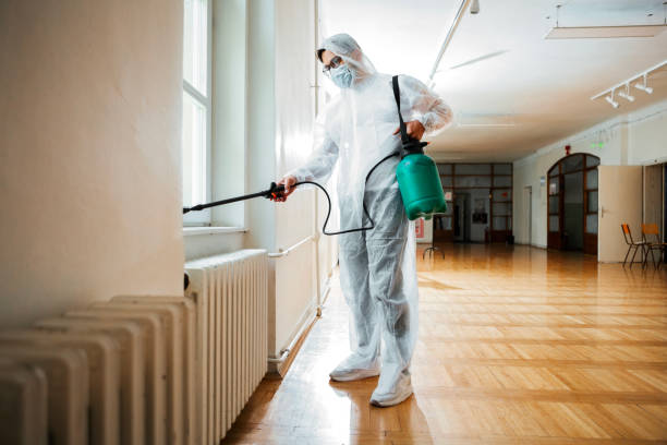 Best Pest Control Near Me  in North Hartsville, SC