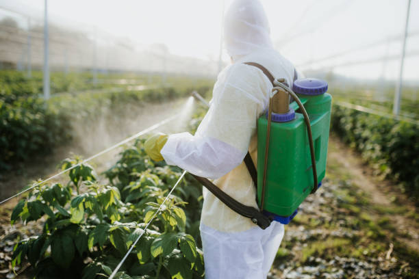 Best Local Pest Control Services  in North Hartsville, SC